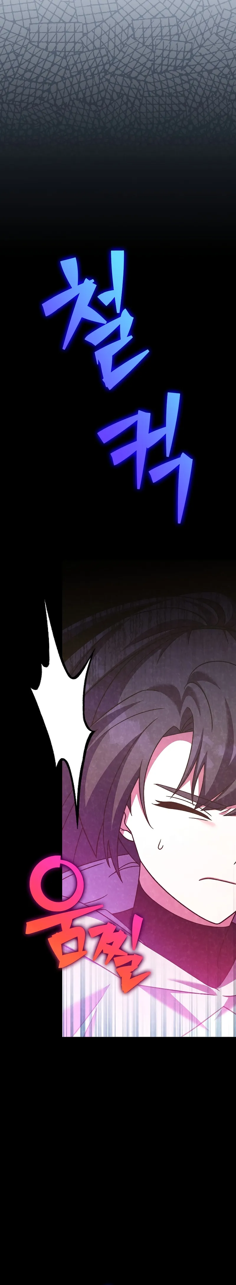 Page 17 – Chapitre 93